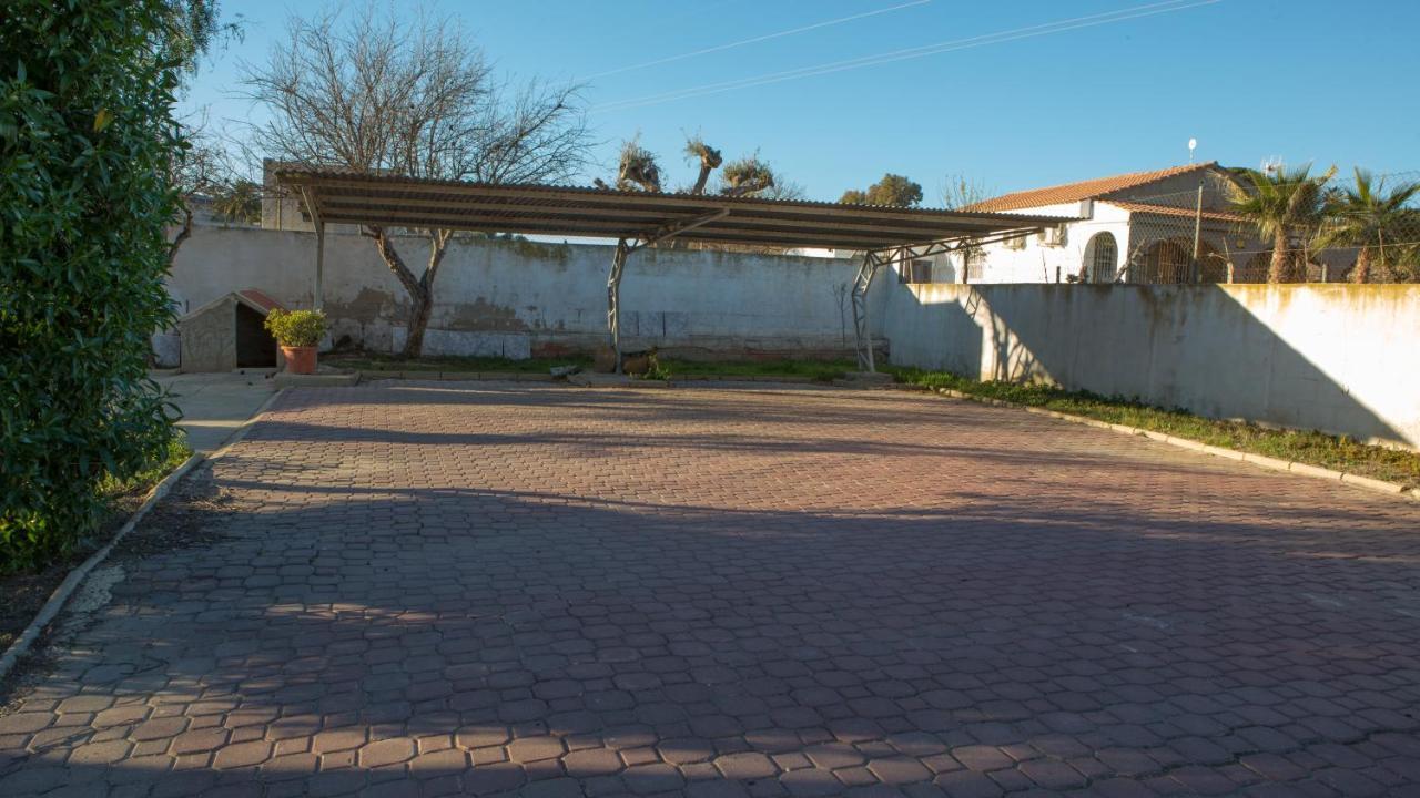 Estudio Adosado Con Jardin Y Parking Privado Alicante Exteriér fotografie