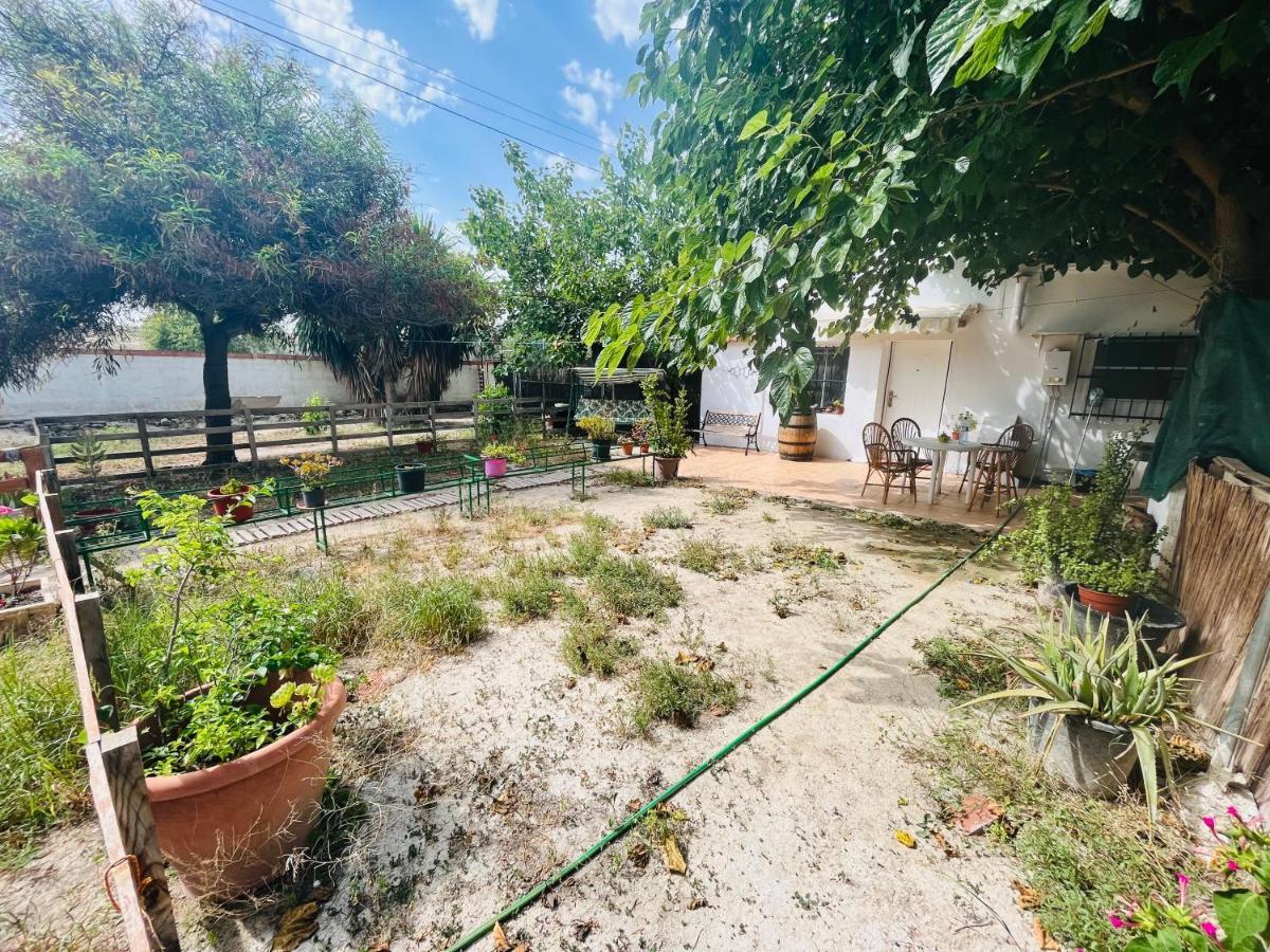 Estudio Adosado Con Jardin Y Parking Privado Alicante Exteriér fotografie