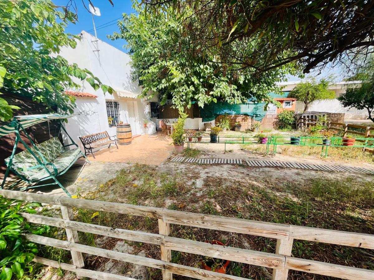 Estudio Adosado Con Jardin Y Parking Privado Alicante Exteriér fotografie
